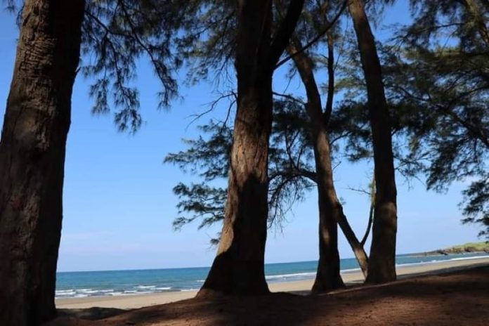 Los Pinos beach, Veracruz