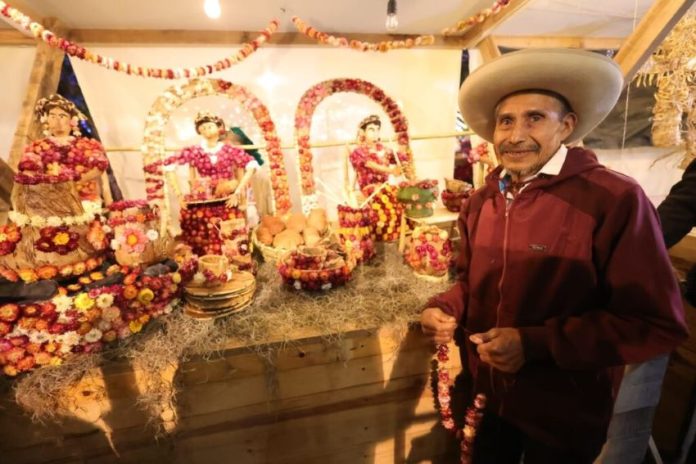 An old man in Oaxaca in December