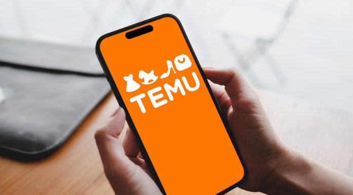 A person holds a phone with a Temu e-commerce application open on the screen